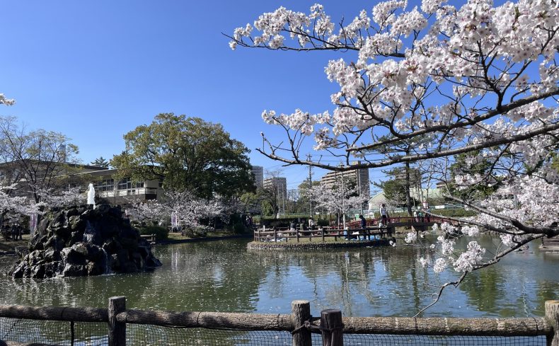 愛知県「安城市」は住みやすい？長年暮らした私が安城の魅力やおすすめエリアを紹介