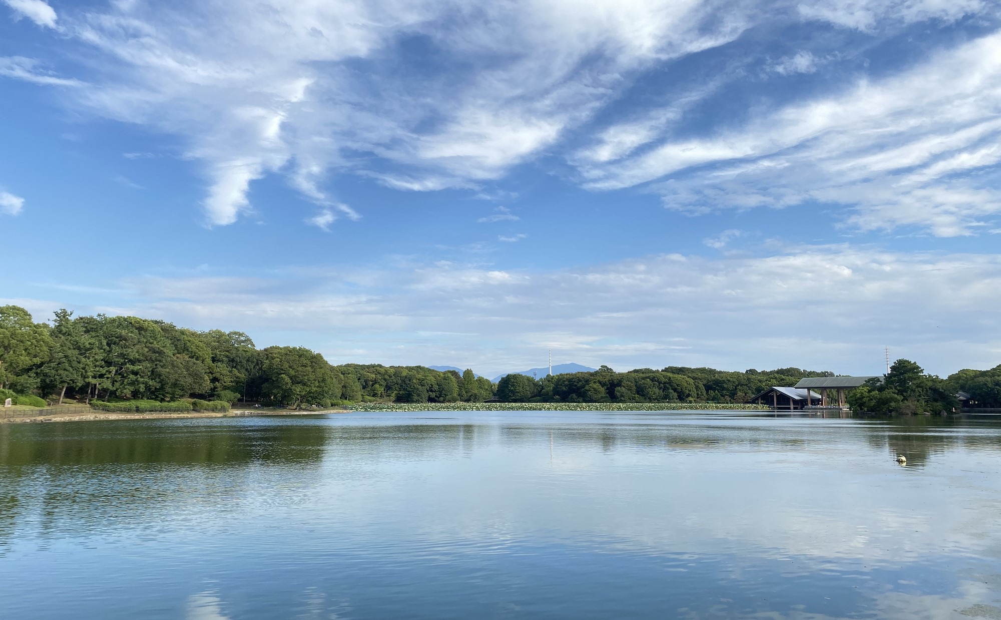 「新金岡」駅周辺の住みやすさは？多世代が暮らしやすいと感じる、緑豊かな街の魅力をご紹介
