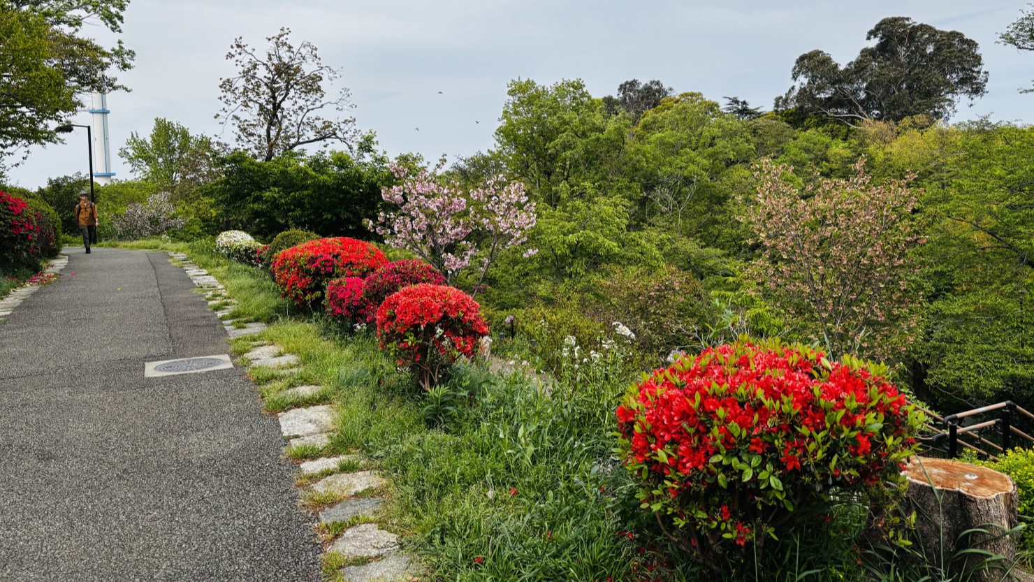 横浜市児童遊園地