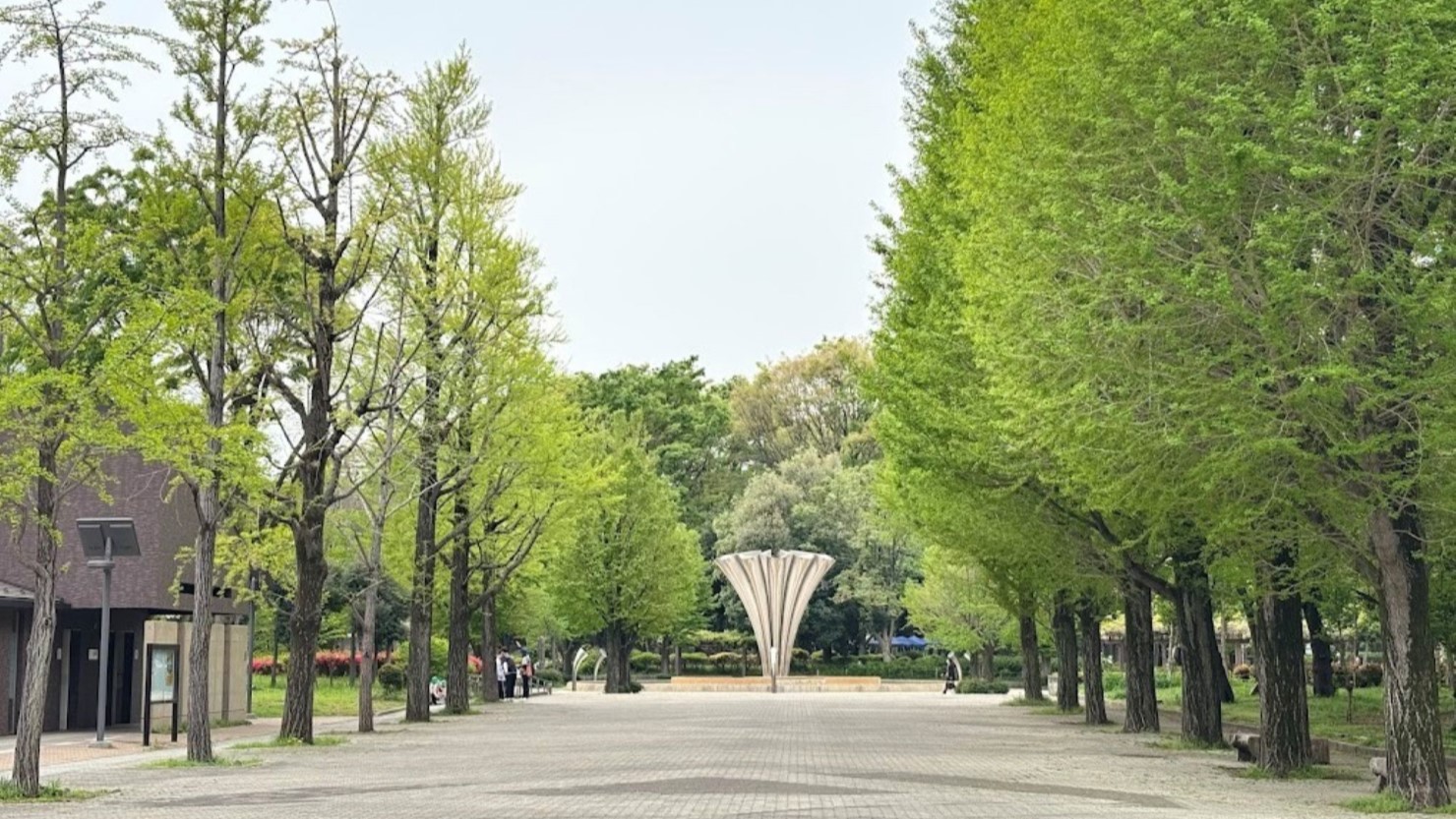 赤塚公園の噴水広場と並木道