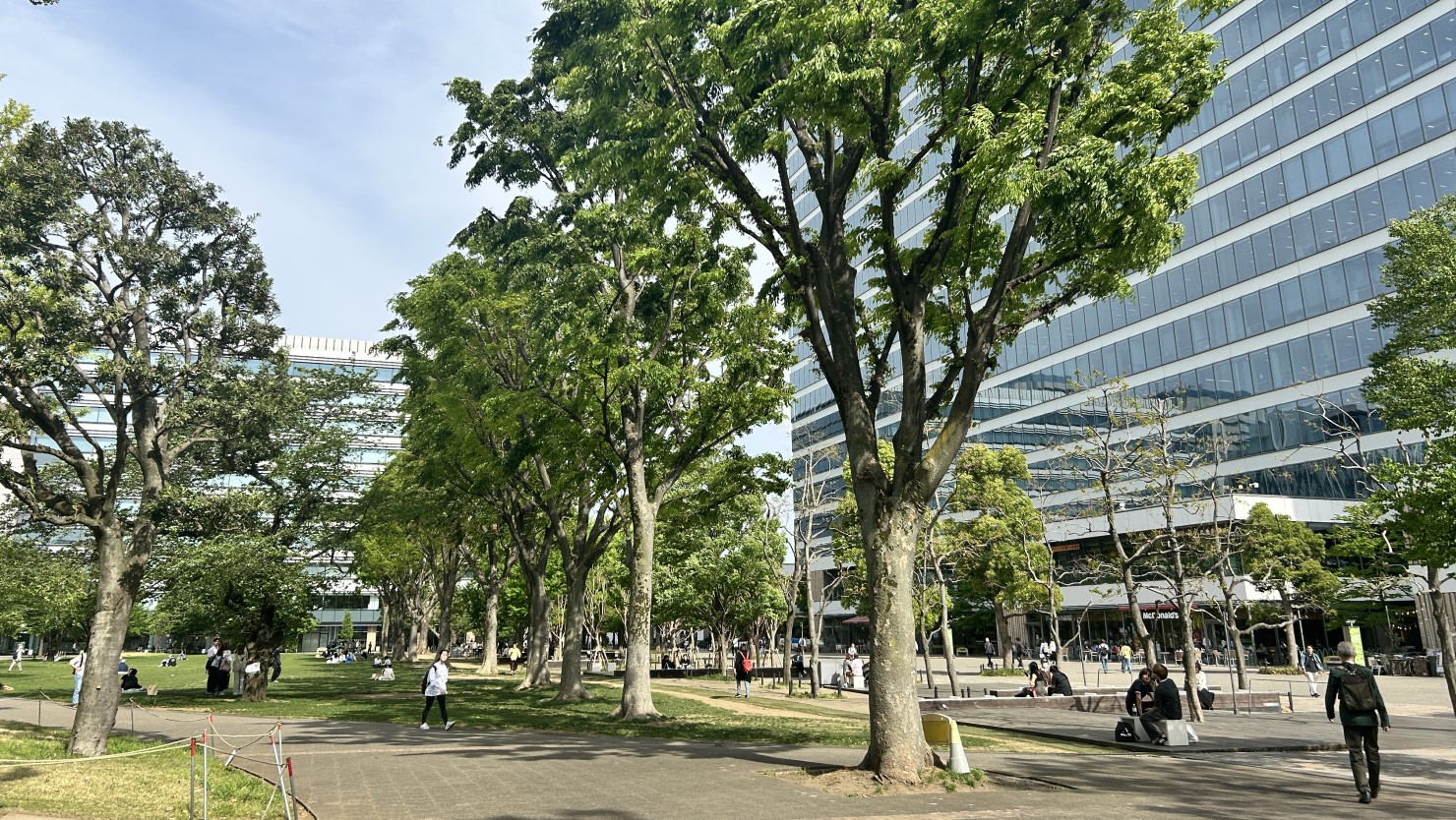中野四季の森公園