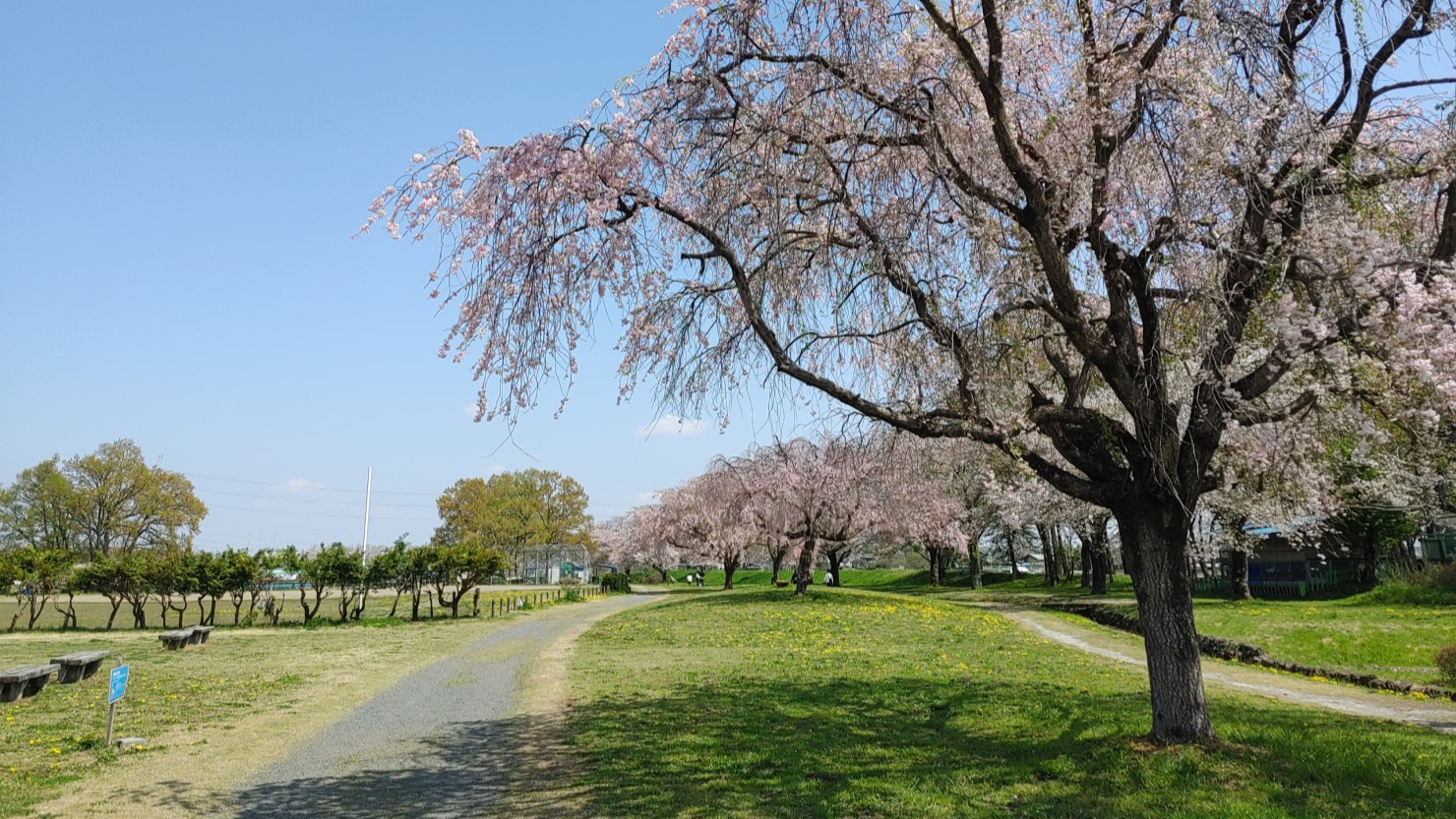 入間川公園