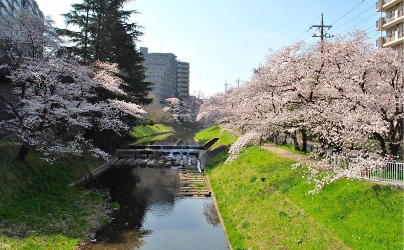 埼玉県「入間市」のおすすめ散歩スポット5選！　異国感と穏やかな自然をいいとこ取りする街を歩いてみた