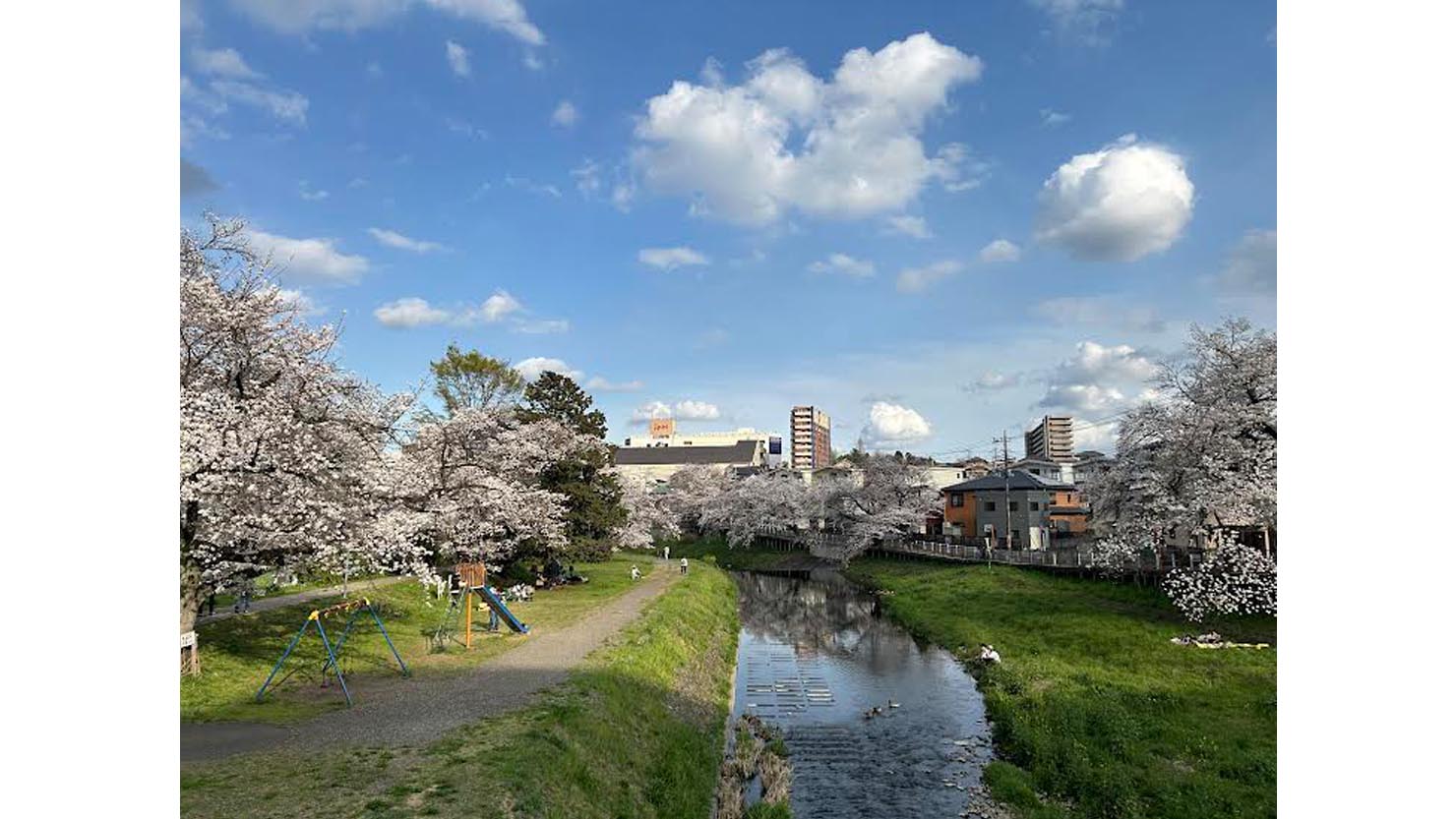 豊高橋から見える霞川の河原