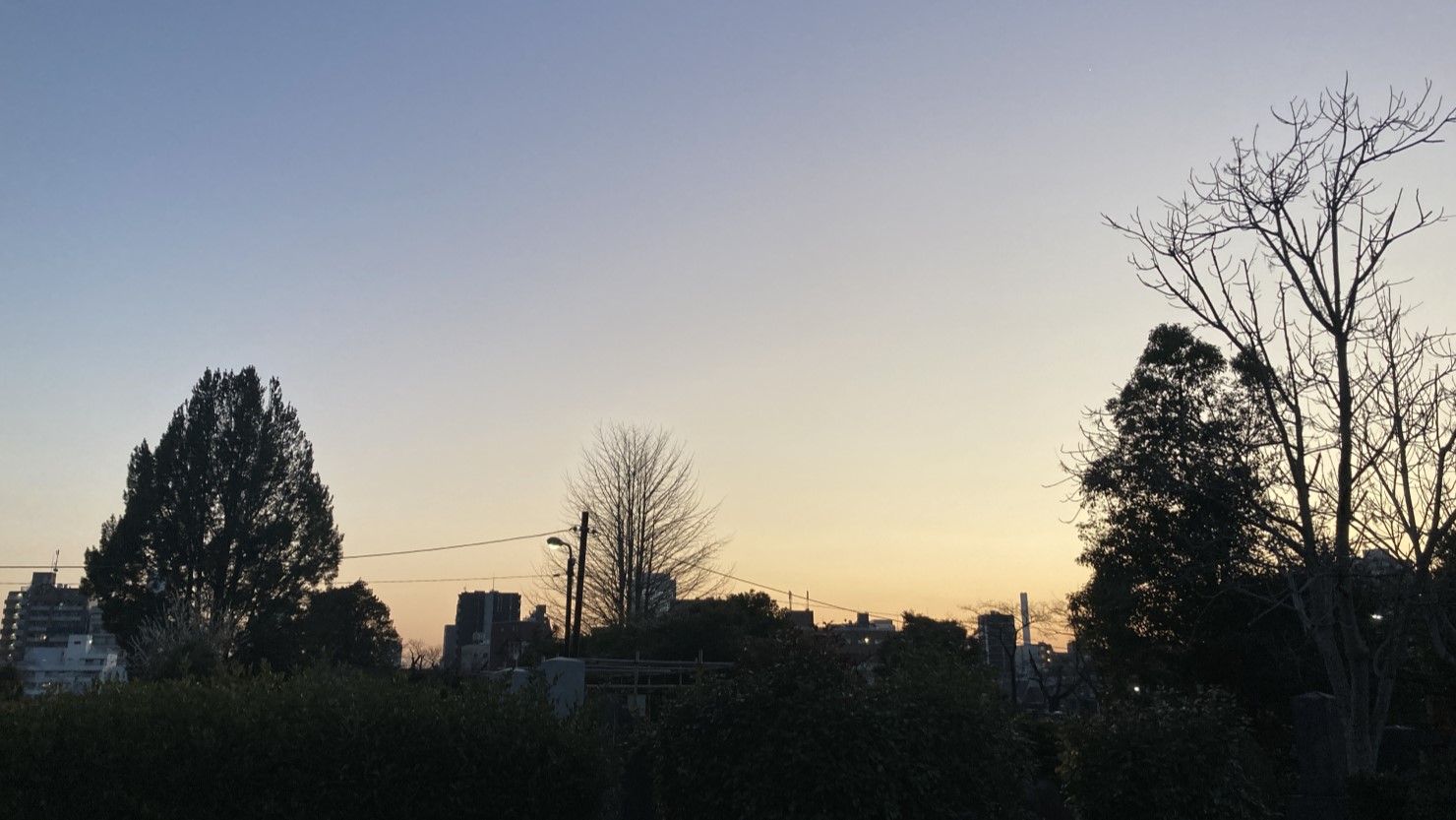 夕暮れ時の静かな「染井霊園」