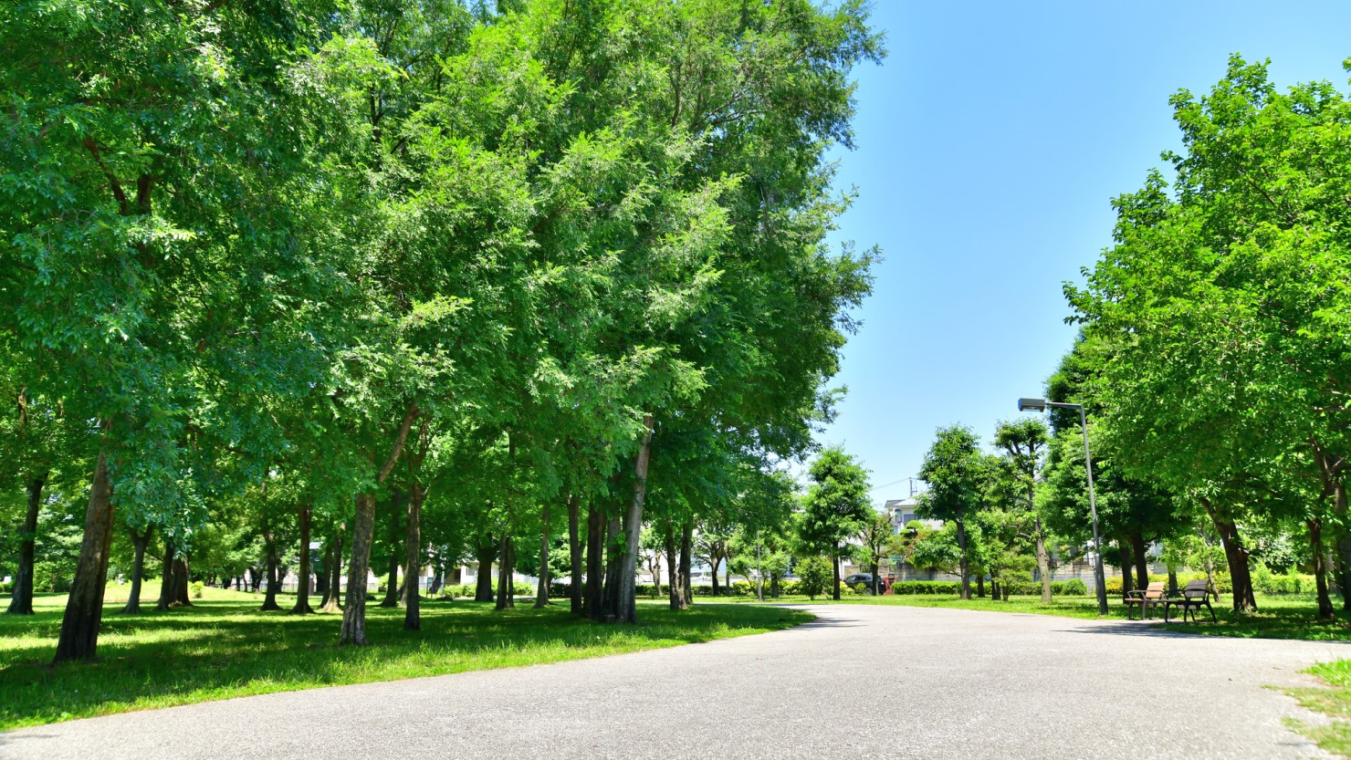 都立武蔵野の森公園