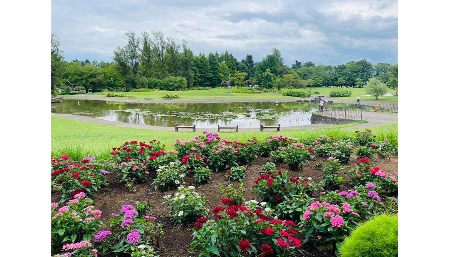 1998年に開園した「彩の森入間公園」