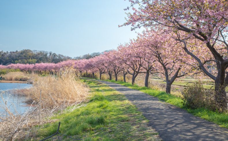 千葉県八千代市での子育て体験談。子育て支援情報や子育てにおすすめのエリアを紹介