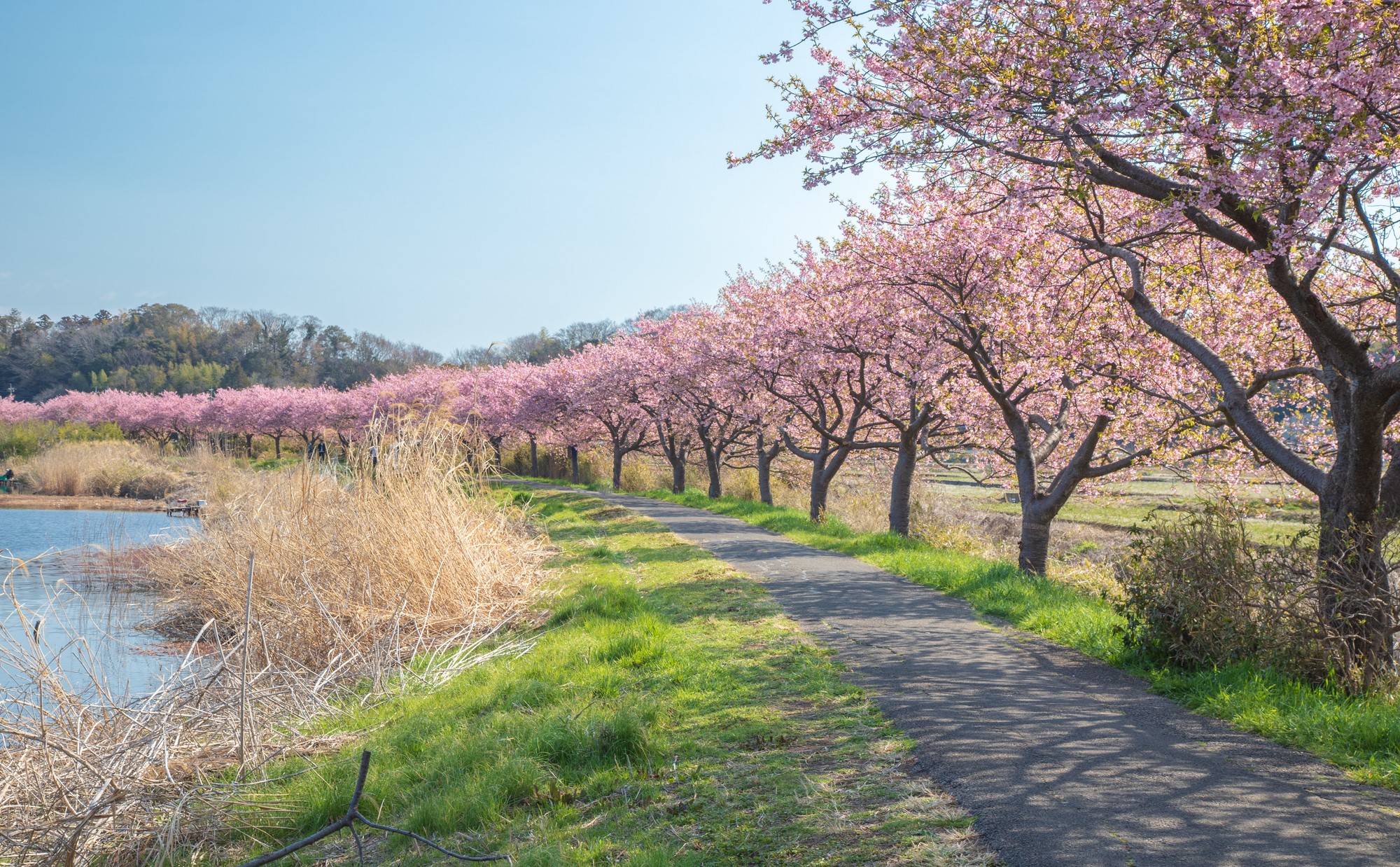 千葉県八千代市での子育て体験談。子育て支援情報や子育てにおすすめのエリアを紹介