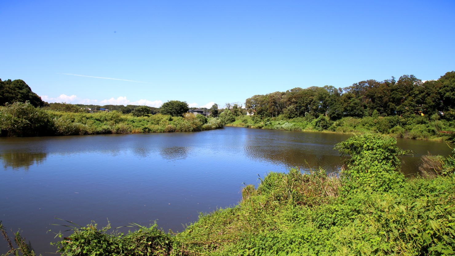 西部近隣公園調整池