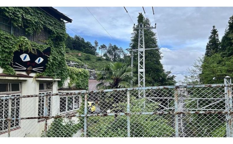 「青梅駅」周辺を散歩してみよう！おすすめの散歩・ウォーキングスポット6選