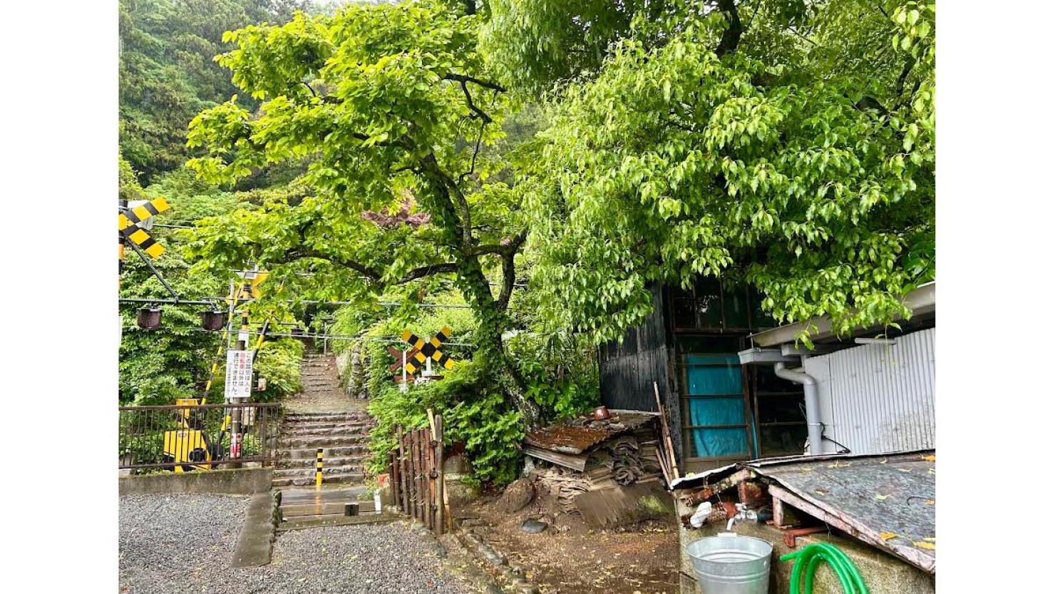 踏切が見つけにくい場所にあるのも魅力的