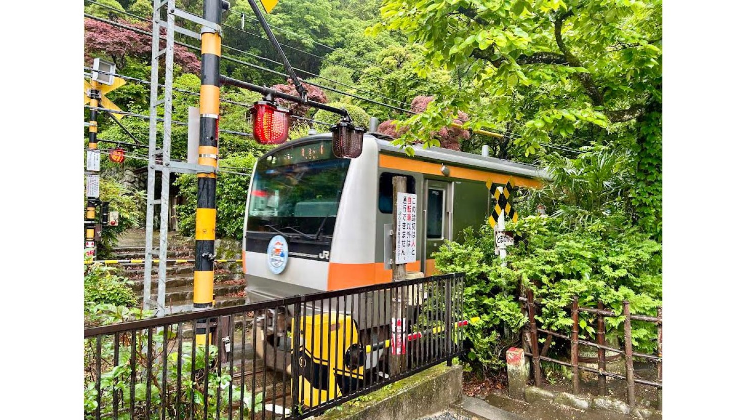 撮り鉄ではないですが、テンションが上がりました