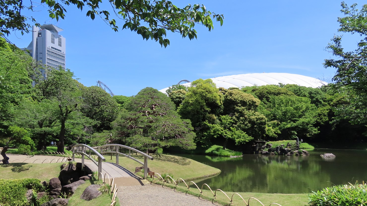 美しい庭園の背景に東京ドームが映えます