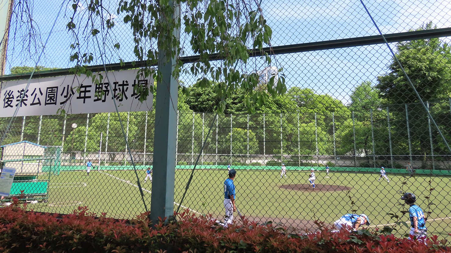後楽公園少年野球場