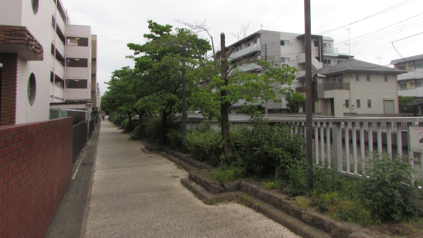 石神井川沿いの歩道