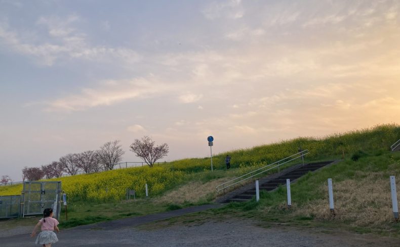 千葉県「流山市」の住みやすさは？在住歴7年のママライターが住みやすい5つのエリアを紹介