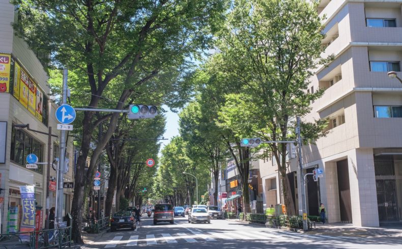 東京都「杉並区」人気駅ランキング“TOP10”【2025年 賃貸編】