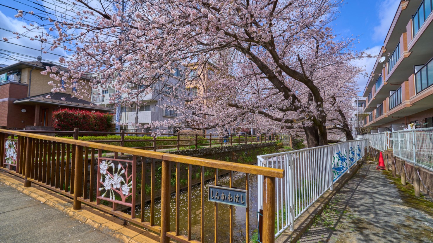 中野島1丁目新川橋付近の街並み