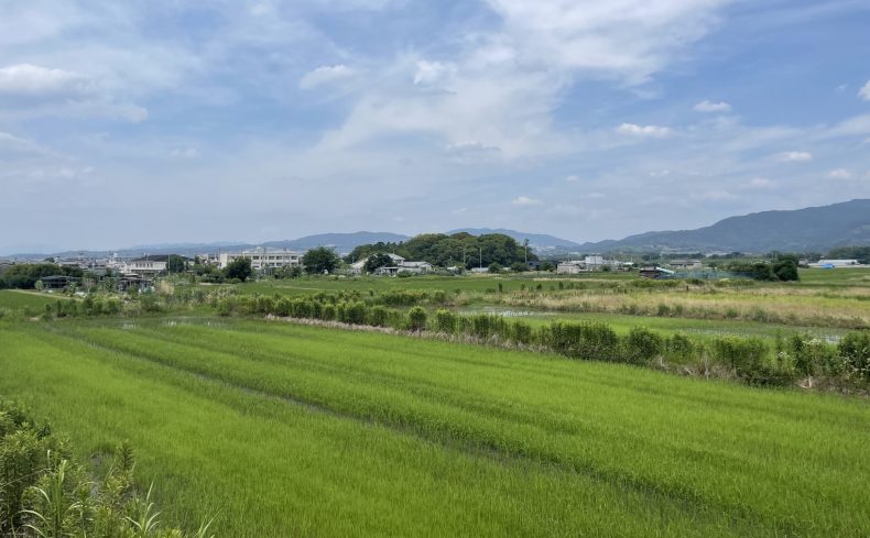 京都府京田辺市での子育て体験談。子育て支援情報や子育てにおすすめのエリアを紹介