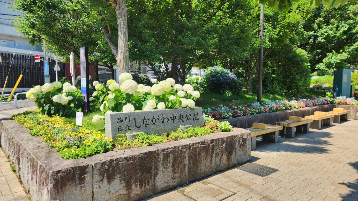 しながわ中央公園