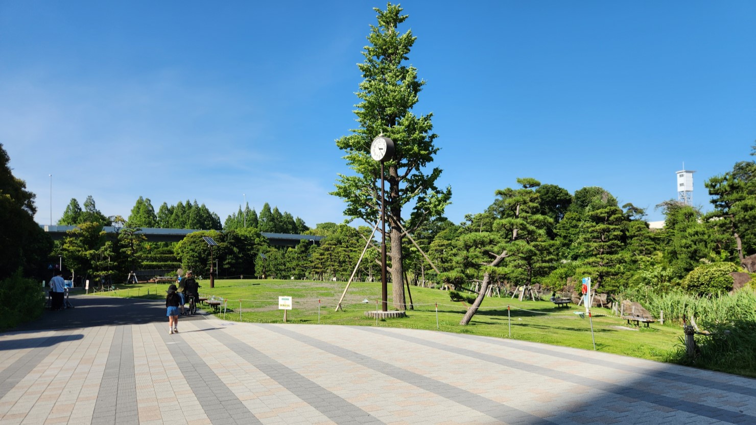  しながわ区民公園
