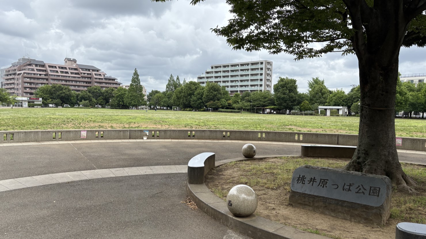桃井原っぱ公園