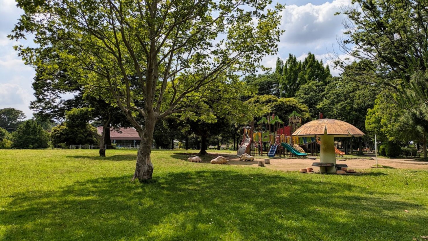 大崎公園の芝生広場と遊具