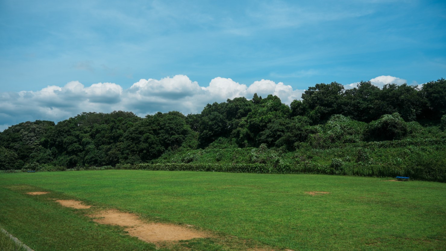 北東部近隣公園内にある自然に囲まれた広場