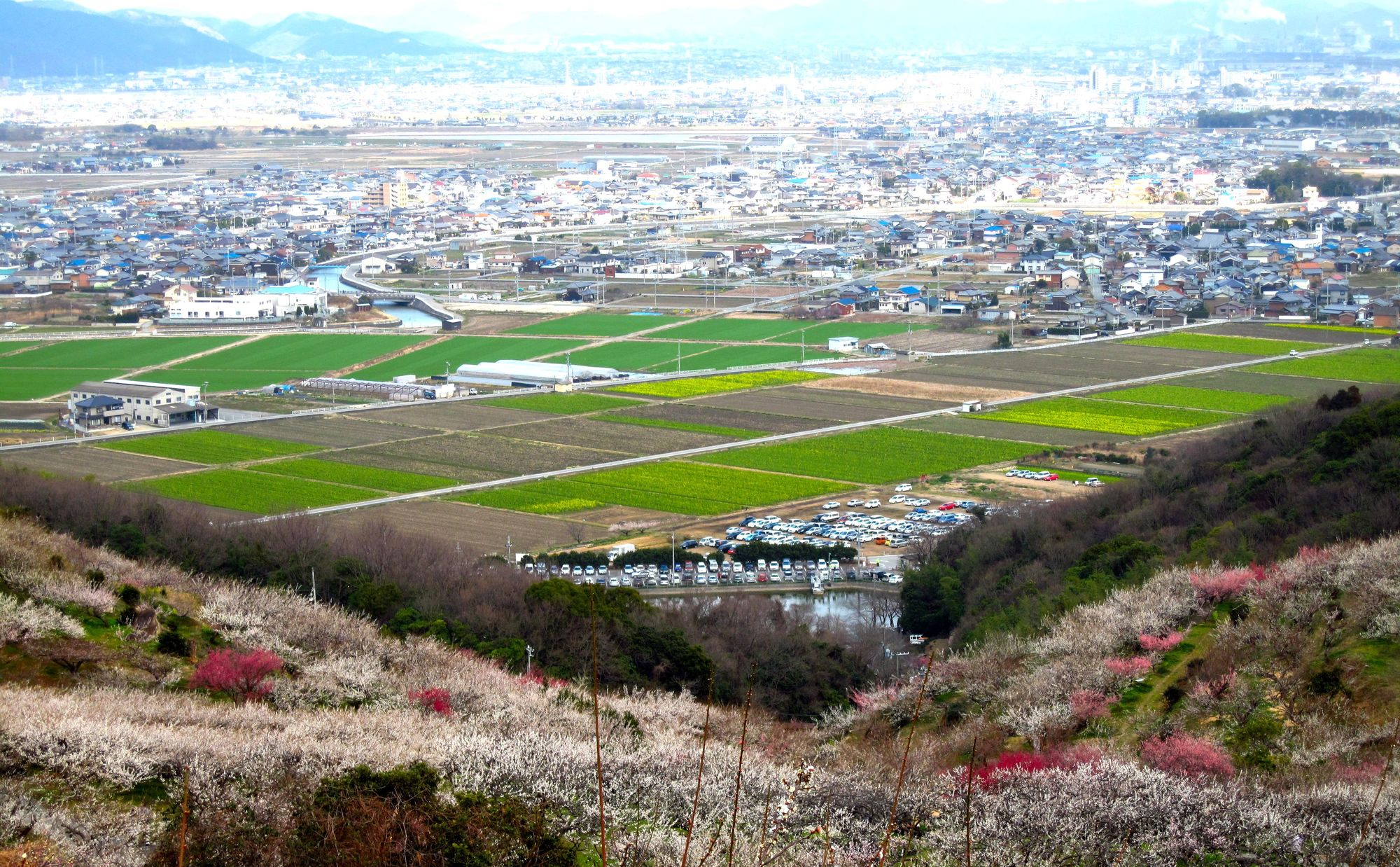 兵庫県「たつの市」での子育て体験談。子育て支援情報や子育てにおすすめのエリアを紹介