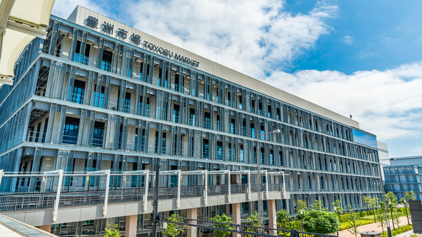 豊洲市場