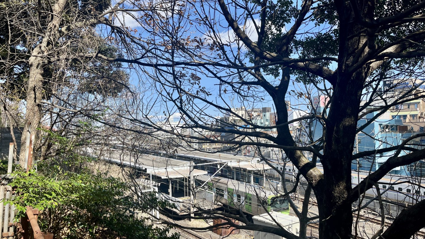 諏訪台の諏訪神社から西日暮里駅方面を望む(2025年3月中旬撮影)