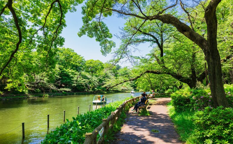 東京都「武蔵野市」は自然と利便性が共存する街！ママライターが実際の住みやすさを紹介