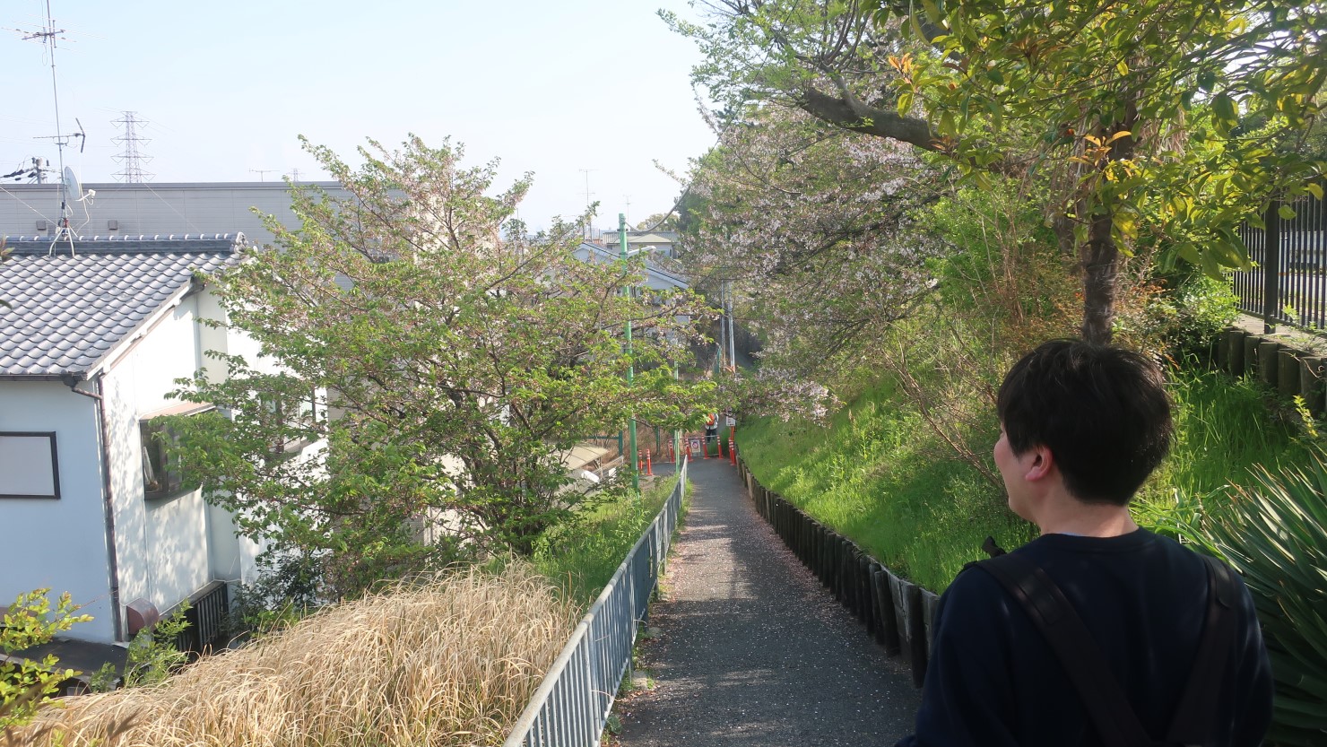 川沿いには桜がたくさんあり、取材時にはすでに葉桜になっていましたが、お花見シーズンはとても綺麗だと近くにお住まいの方が教えてくれました