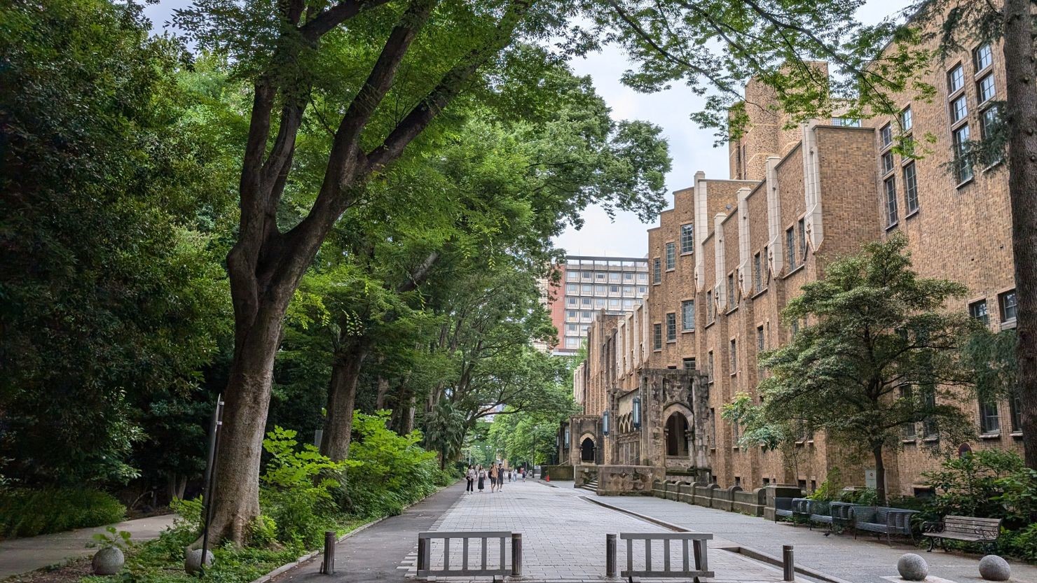 東京大学構内の自然©糸田 
