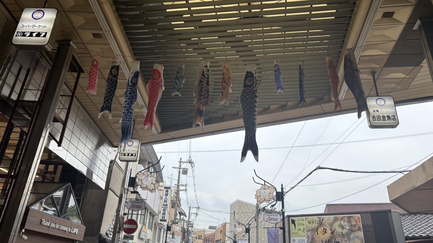 商店街のアーケードに飾られる鯉のぼり。家に眠っている鯉のぼりを集めて飾るというプロジェクトが実施されていました
