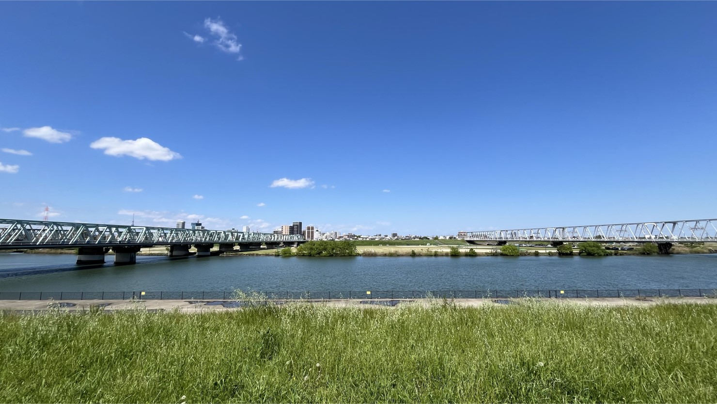 江戸川河川敷（2025年4月撮影）