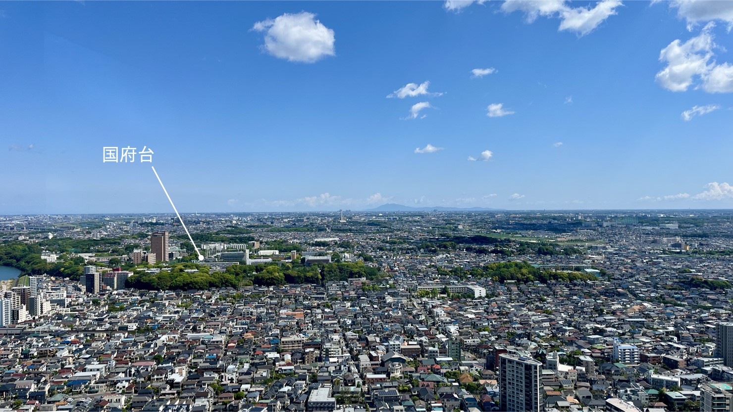 アイ・リンクタウン展望施設から国府台を望む（2025年4月撮影）