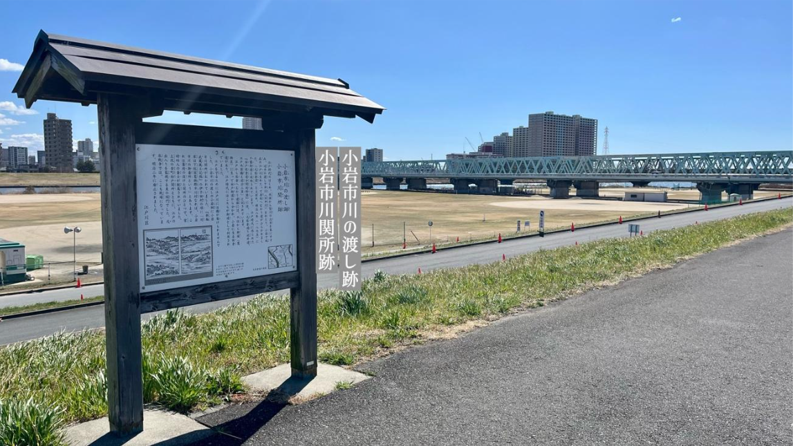 江戸川右岸側河川敷(2025年3月上旬撮影)