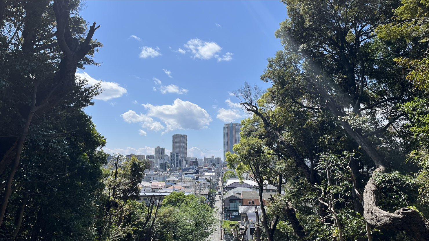 弘法寺山門から市川駅方面を望む（2025年5月撮影）