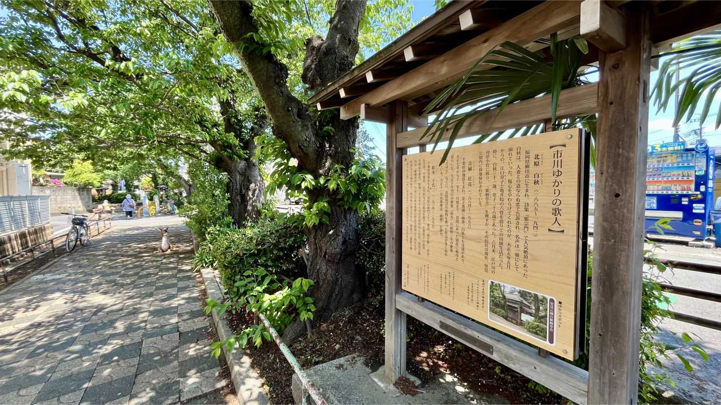 文学の道に設置された、市川ゆかりの歌人を紹介する案内板