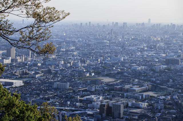 飯盛山から大阪平野を望む