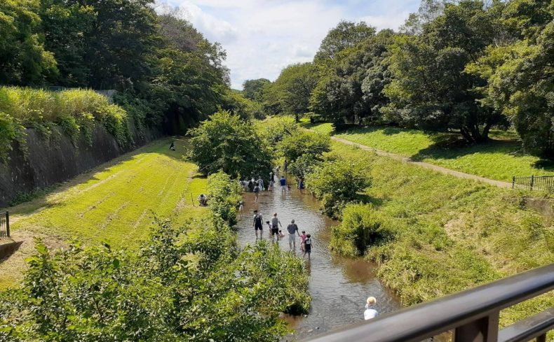 東京都「小金井市」での子育て体験談。子育て支援情報や子育てにおすすめのエリアを紹介