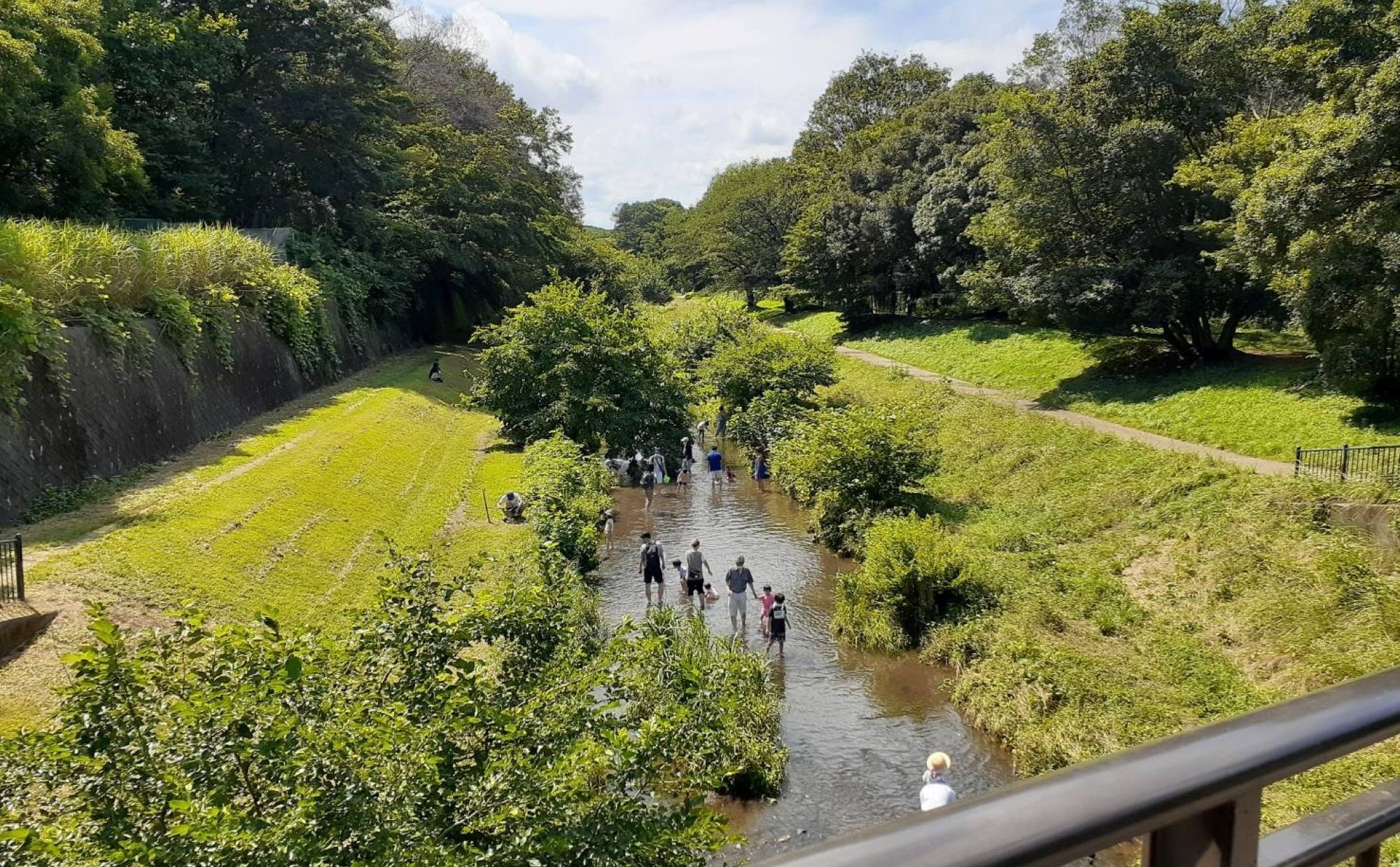 東京都「小金井市」での子育て体験談。子育て支援情報や子育てにおすすめのエリアを紹介