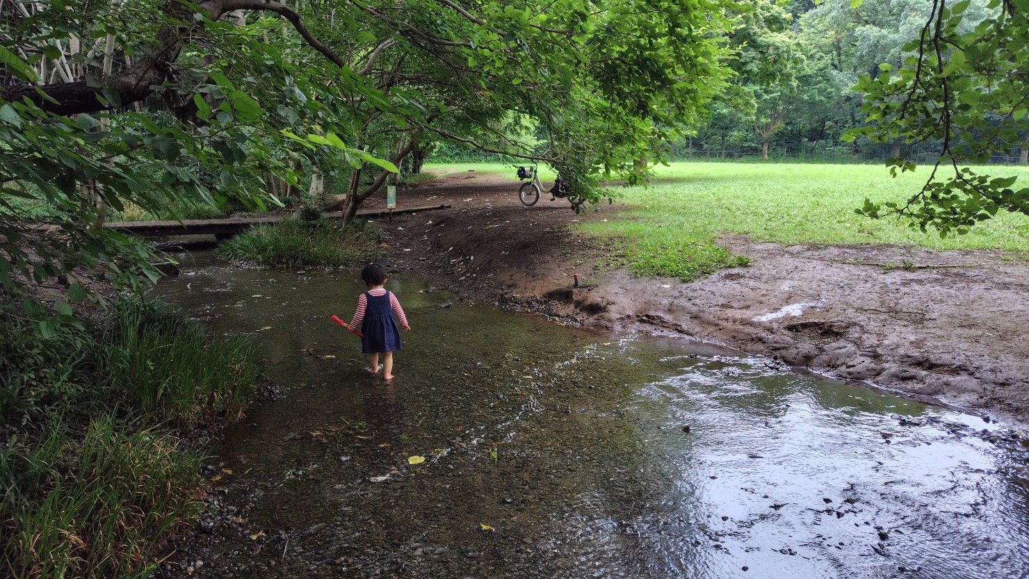川遊びを楽しむ娘。水が澄んでいて、川底が見えます。