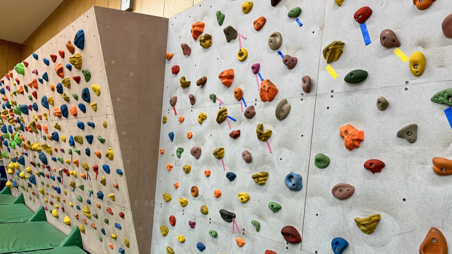 本格的なボルダリングができる蕨市民体育館