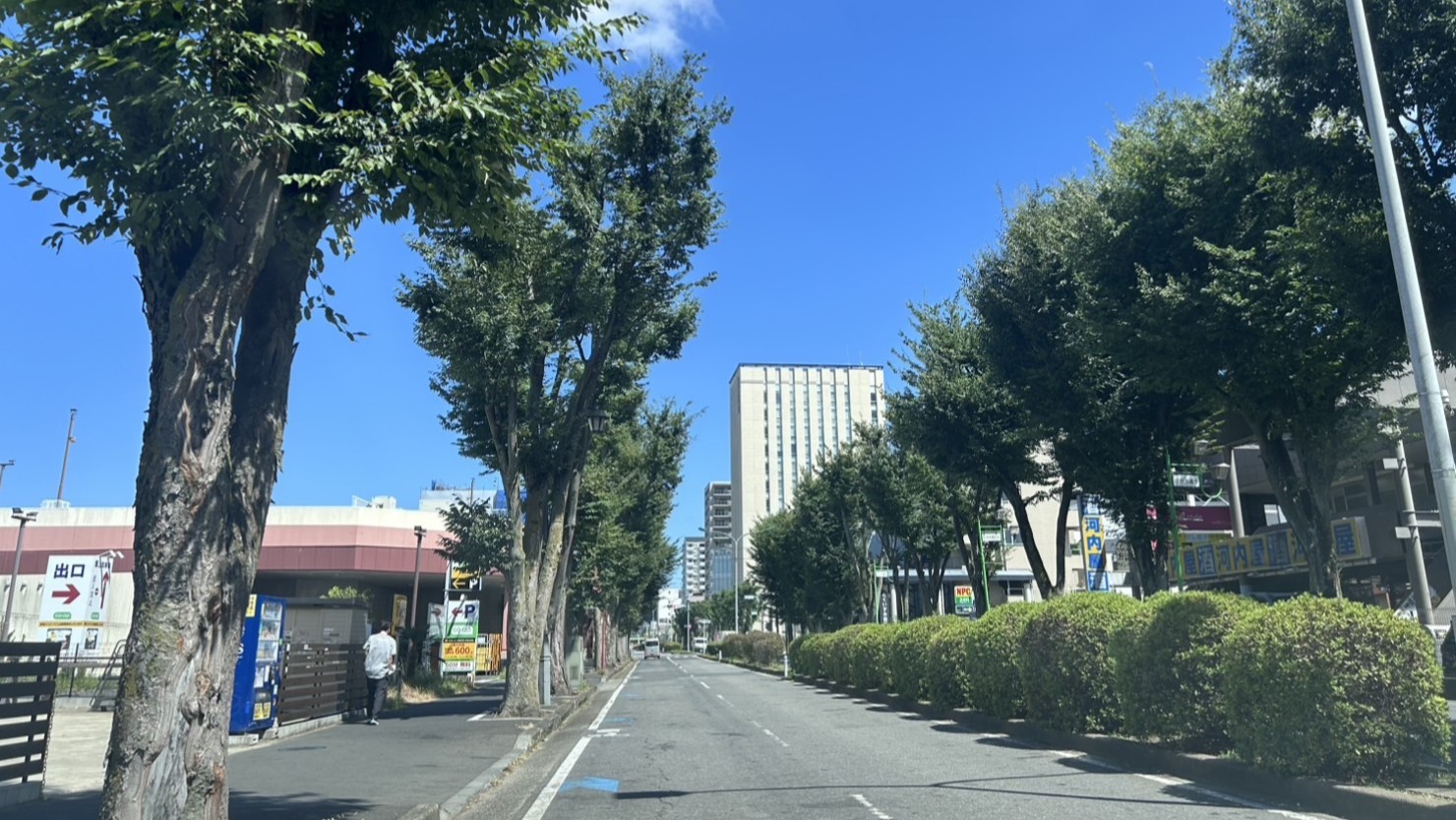 けやき通り風景