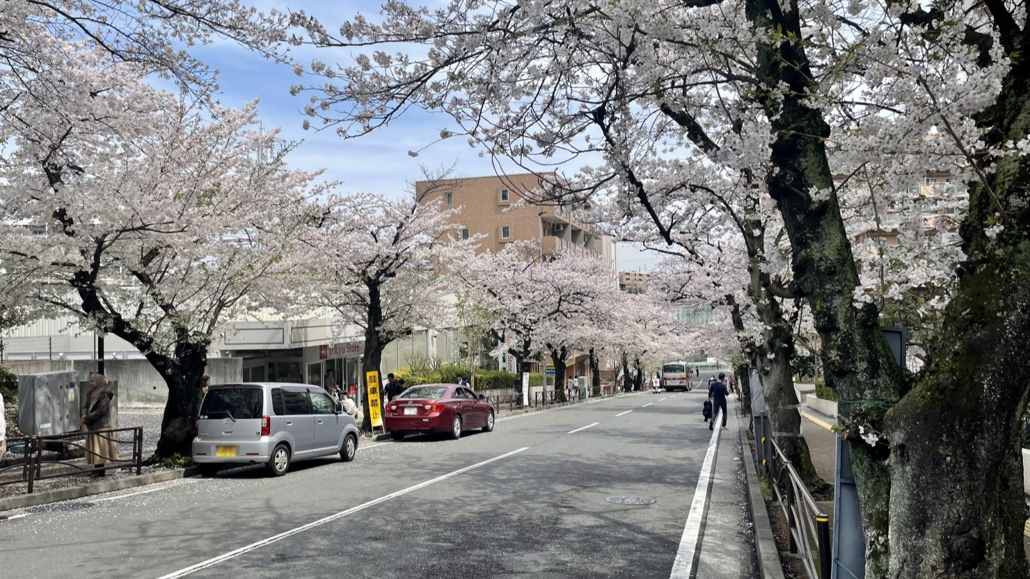 春先はサクラが満開になる駅前のさくら坂