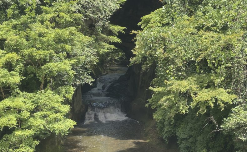 千葉県君津市は自然と利便性が共存する街！地元住民が住みやすさを紹介