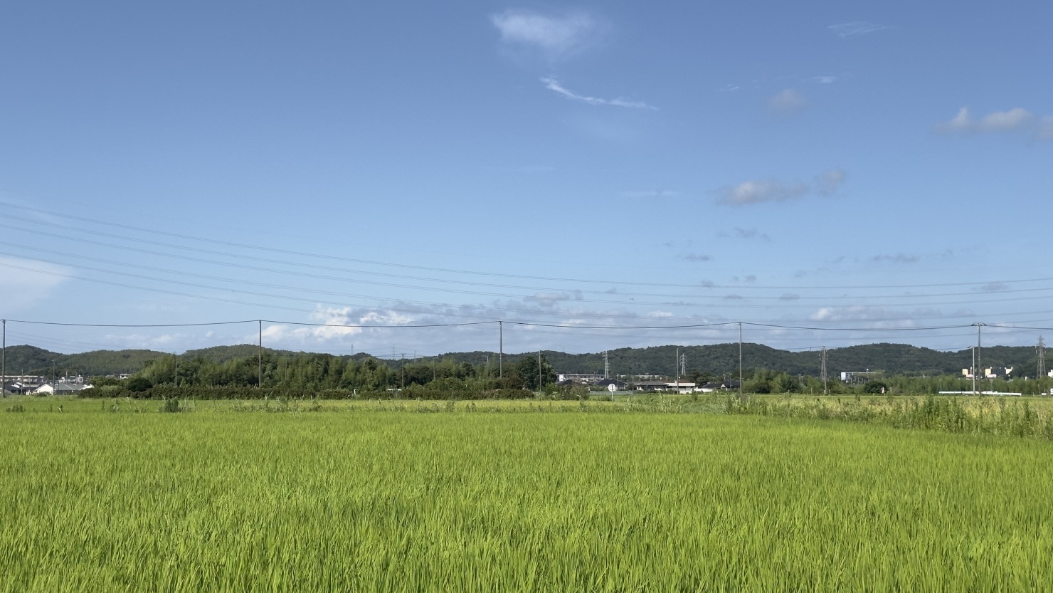 君津市の田園風景